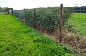 8b40024b_2713_4ddd_b6cf_a764148e161f