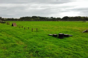 8ef28c8b_dd95_4536_8604_8e3702b9dcb0