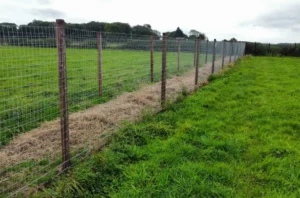 bff88a38_f7d0_415b_bf04_7c03affe76e2